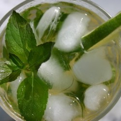 Mojito Mojito