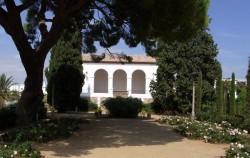 Greek Garden, Montjuïc Greek Garden, Montjuïc