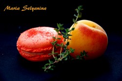 Apricot & Thyme French Macaron Apricot & Thyme French Macaron