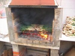 Calçots roasting during a calçotada photo of Calçots roasting during a calçotada