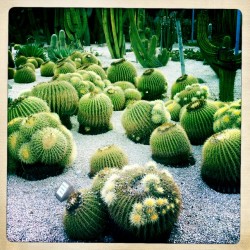 Jardins de Mossèn Costa i Llobera, Montjuïc photo of the Cactus Park Barcelona